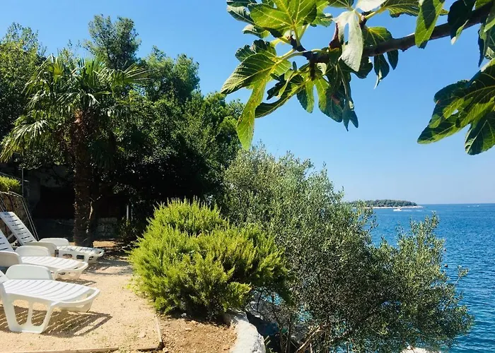 Premium Oaza Primosten